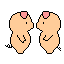 spic_2750_1.gif