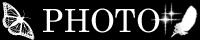 spic_1667_1.gif