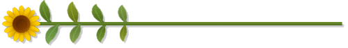 spic_481_1.gif