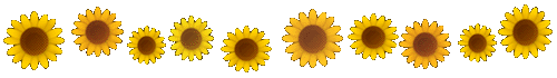 spic_484_1.gif