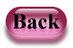 spic_1562_1.jpg
